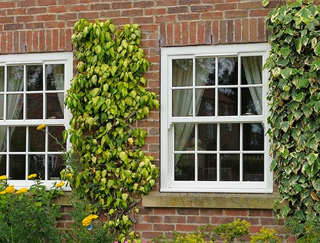 Sash and Case Windows Edinburgh